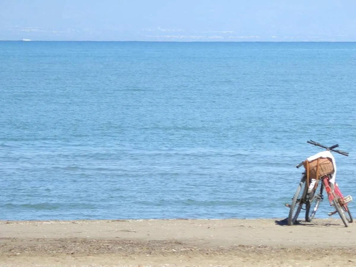 Vacaciones Junto Al Mar: Casa Con Wifi, Admite Mascotas, Playa Cercana, A/C Opcional - Es-184-45 Riumar 0*,  Spain